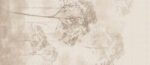 Tubadzin Tropical Forest 2. dekorlap 119,8x274,8